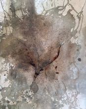 Roots